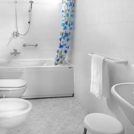 Hotel Zanarini In Centro A 3*