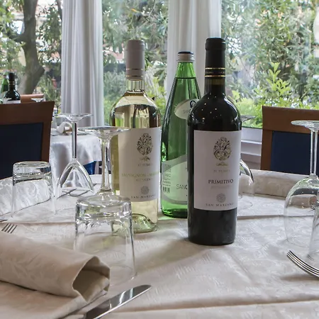 Ξενοδοχείο Zanarini In Centro A Ριτσιόνε