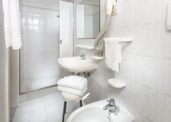 ホテル Zanarini In Centro A 3*