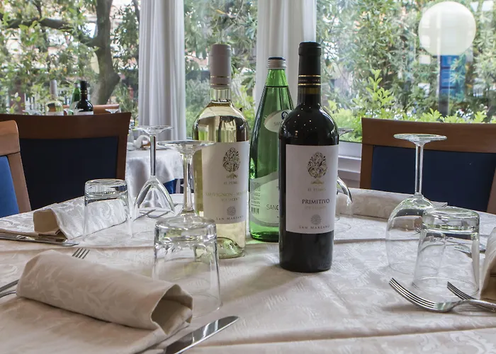 호텔 Zanarini In Centro A 리치오네